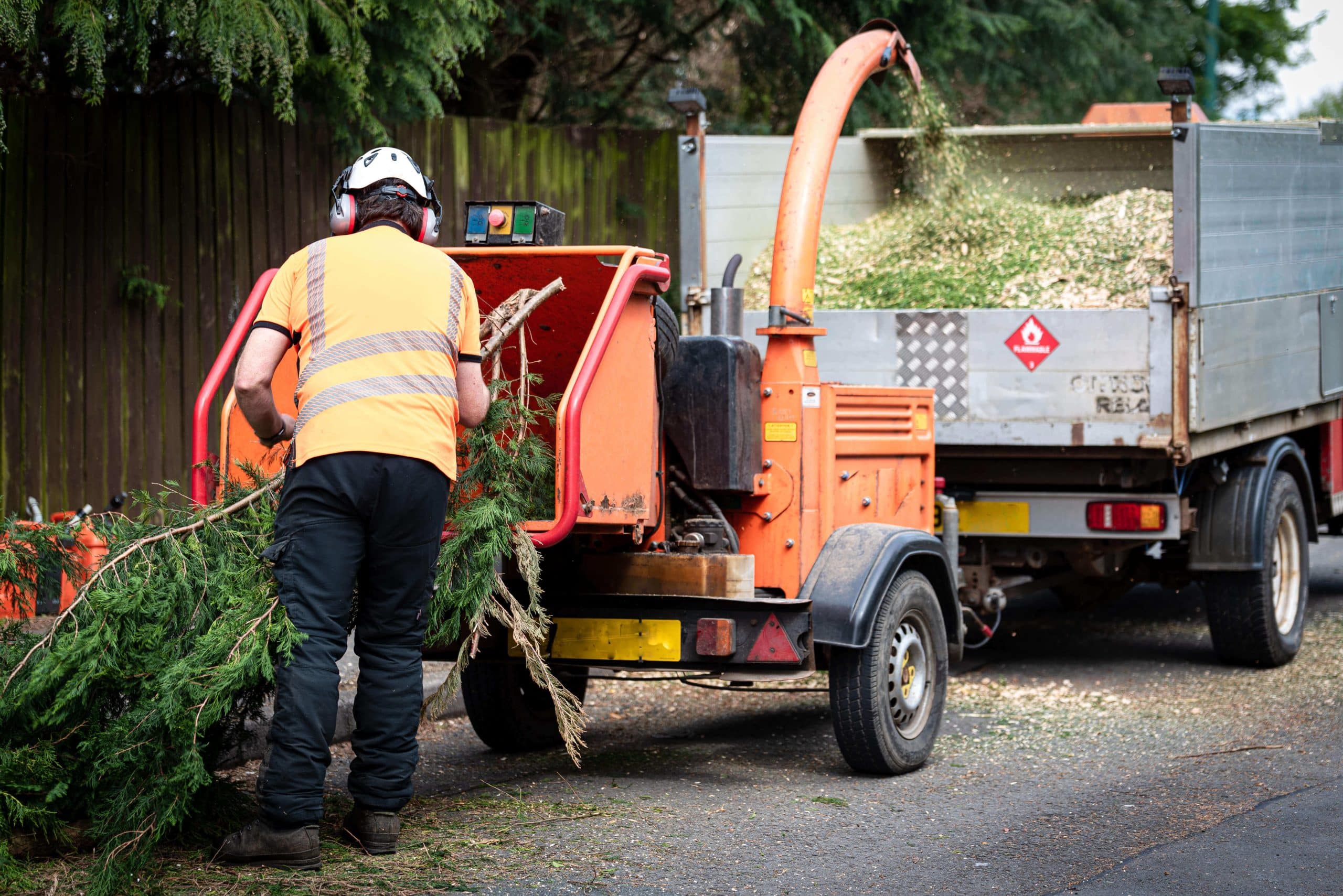 Tree Stump Grinding/Removal Hither Green SE13